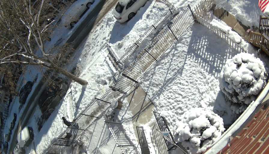 Reolink Camera Two_01_Reolink Home Hub One_20260126095842.jpg